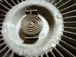 fan spring.jpg