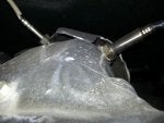 20130824_141312.jpg