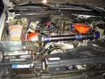 DSC02250.jpg