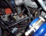 100_0081.JPG