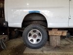 rear view.jpg