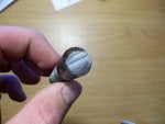 100_2973.jpg